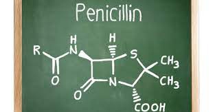 penicillin.jpg